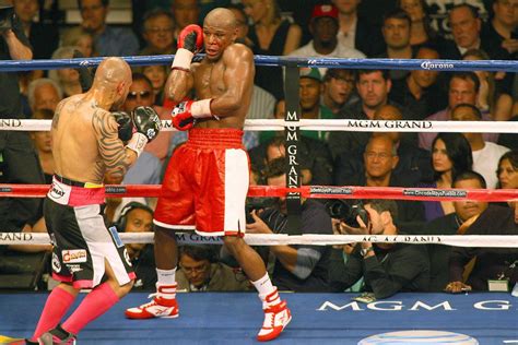 Floyd Mayweather vs Miguel Cotto fight photos gallery from Las Vegas ...