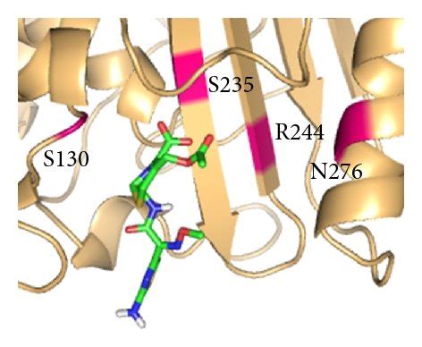 Binding mode analysis of 3rd generation cephalosporins with bla TEM... | Download Scientific Diagram