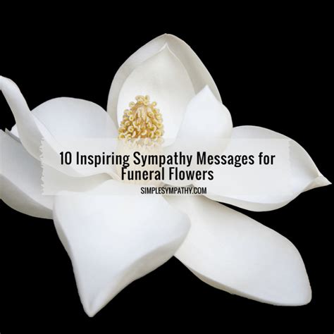 10 Inspiring Sympathy Messages for Funeral Flowers – Simple Sympathy