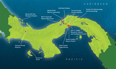 Acerca | Smithsonian Tropical Research Institute