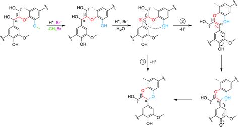 Cleavage of ethers and demethylation of lignin in acidic concentrated ...