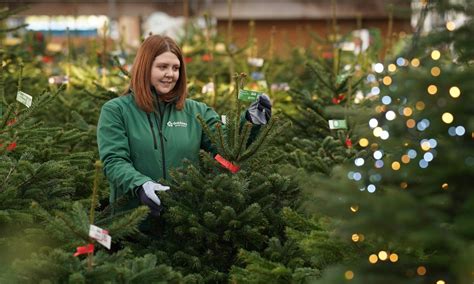 Dobbies donates Christmas trees to Aberdeenshire communities