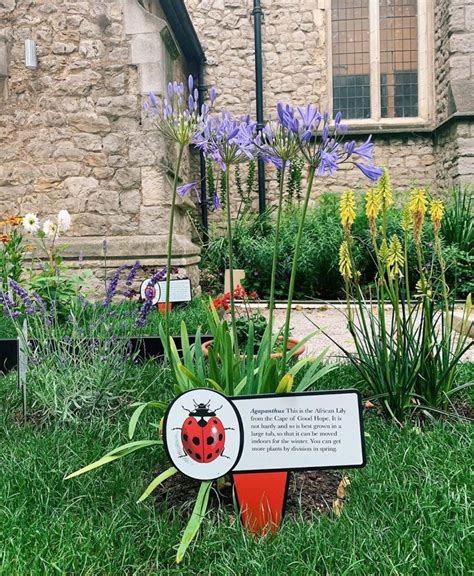 Garden Museum London: Green-Fingered Oasis Inside An Old Church