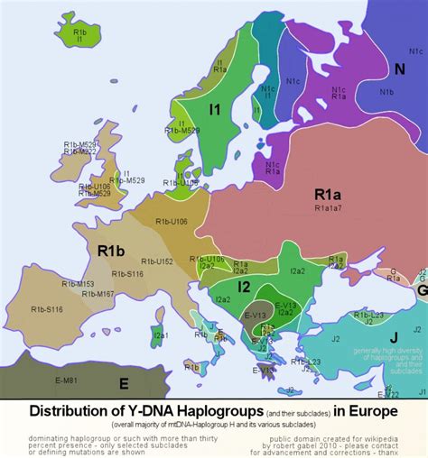 The Y Chromosome: Ancestry, Genetics, and the Making of a Man | Map, Ancestry, Family tree genealogy