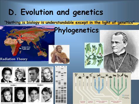 PPT - Theory and History of Evolution PowerPoint Presentation, free ...