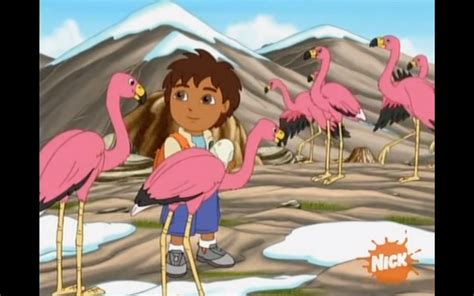 A New Flamingo Mami | Dora the Explorer Wiki | Fandom