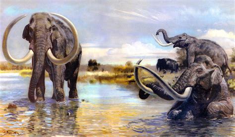 Extinct Mammuthus meridionalis, or the southern mammoth, is species ...