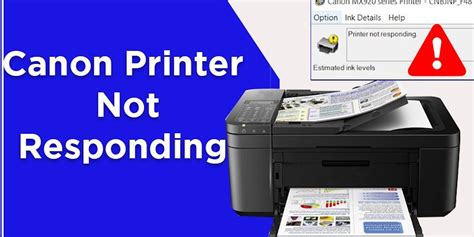 Canon Printer Troubleshooting Guide - Canon Printer Troubleshooting ...