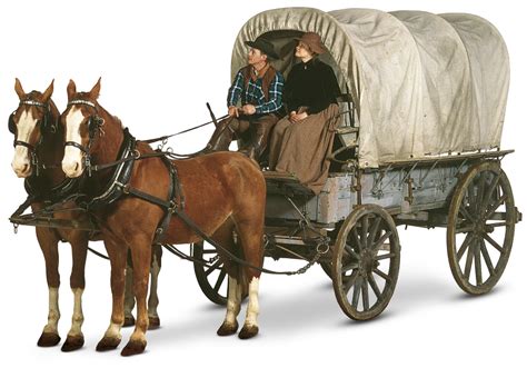 Pin by Nathan Rose on Wagons | Horse drawn wagon, Horse wagon, Old wagons