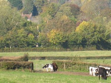 East Coker Society Website - East Coker is a village near Yeovil in Somerset, England, UK