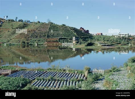 Scenery of Telaga cebong lake surrounded with green crop plantation in Dieng plateau ...