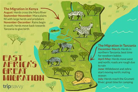 How to Experience the Great Migration in Kenya and Tanzania