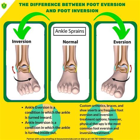 Foot Eversion And Foot Inversion | Inversions, Ankle pain, Sprained ankle