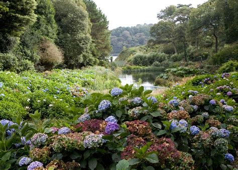 Top 10 Gardens | Best of the Cornwall Guide