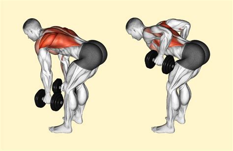 Build Muscle All Over and Burn Fat With This 5-Move Dumbbell Workout ...