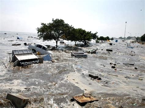 In Photos: On 16th Anniversary Of December 2004 Tsunami, Tamil Nadu Residents Pay Tribute To The ...