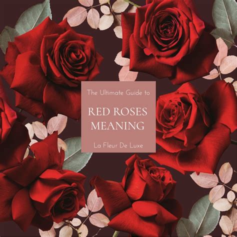 Red Roses Meaning, Symbolism, History - La Fleur De Luxe