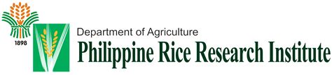 Logo - Philippine Rice Research Institute