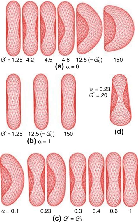 Simulated biconcave discoid (BD) and cupped (C) RBC shapes at... | Download Scientific Diagram