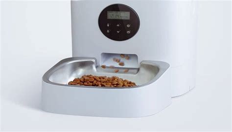 Petlibro Automatic Pet Feeder Review