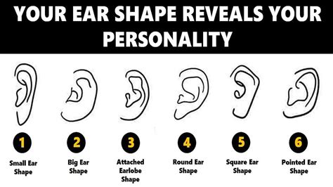 Ear Shape Personality Test: Your Ears Reveal Your True Personality Traits