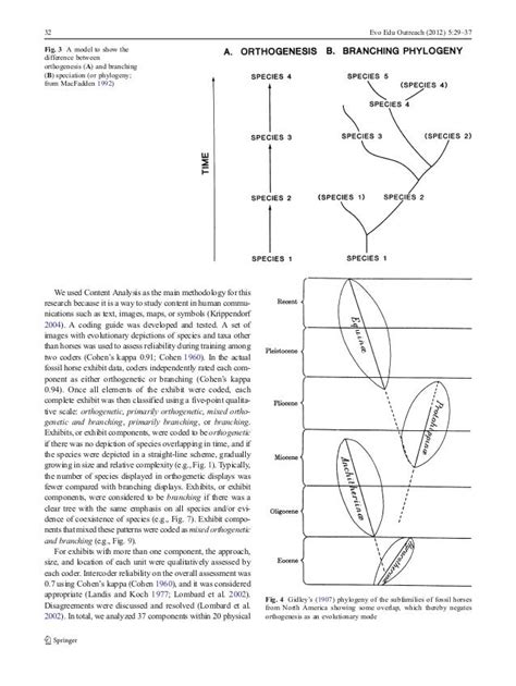 Fossil Horses, Orthogenesis, and Communicating Evolution in Museums