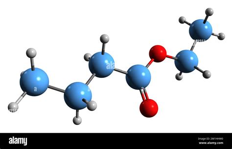 3D image of Ethyl butyrate skeletal formula - molecular chemical structure of Butanoic acid ...