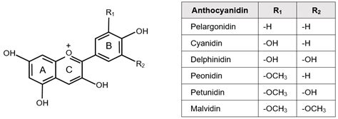 Nutrients | Free Full-Text | Differences in the Effects of Anthocyanin Supplementation on ...