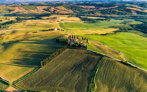 Discovering the Best Vineyards in Italy: A Wine Lover's Journey