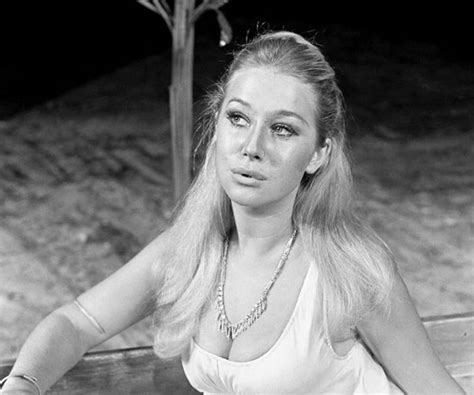 Stunning Photos of a Young Helen Mirren from the 1960s and 1970s - Rare Historical Photos