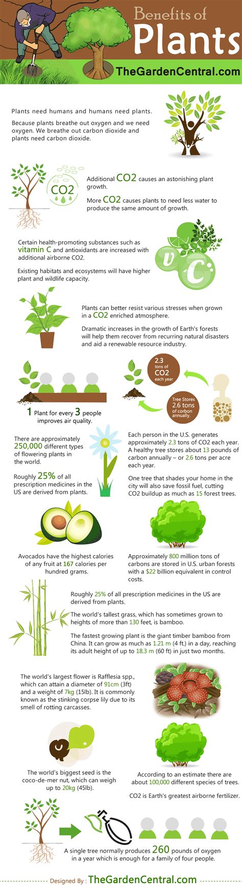 The Benefits of Plants [Infographic]