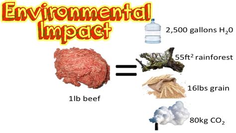 Environmental impacts as a byproduct of the Meat Industry