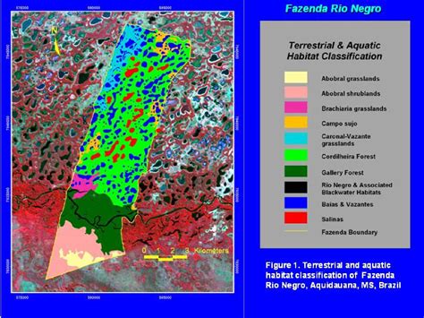 Figure 1 from Habitat use by Peccaries and feral pigs of the Southern Pantanal, Mato Grosso do ...