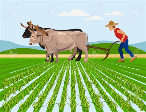 plowed field clipart 10 free Cliparts | Download images on Clipground 2024