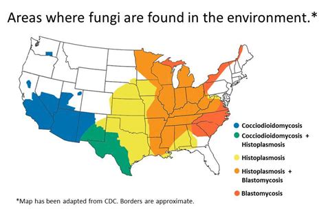 Endemic fungi infections in the USA - Maps on the Web