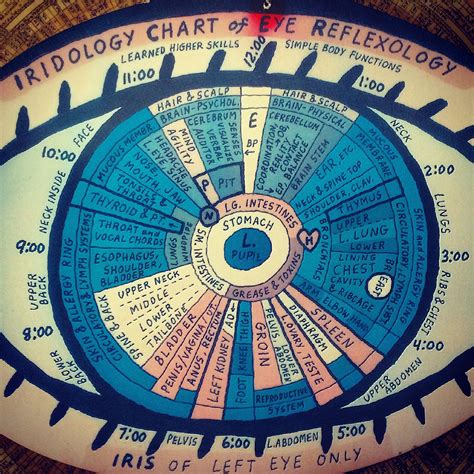 Iridology Chart of Eye Reflexology | Iridology chart, Iridology, Reflexology chart