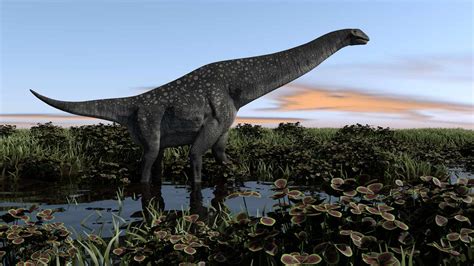 Titanosaurus Facts and Figures