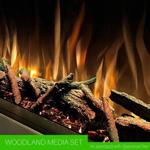 Evolution Fires Electric Fire | Wayfair.co.uk