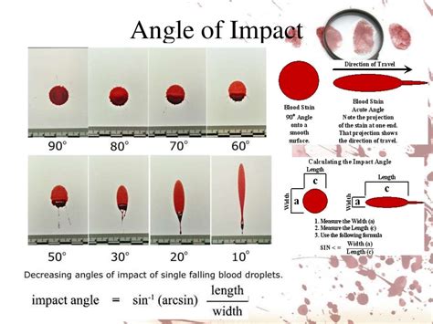 Blood spatter analysis