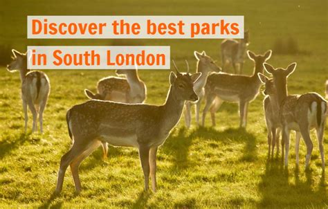 A Guide to the Best Parks in South London