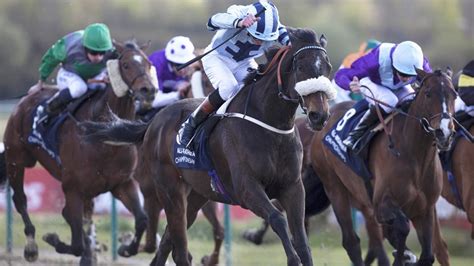 Lingfield Racing Tips: Timeform's three best bets for Saturday 8 May