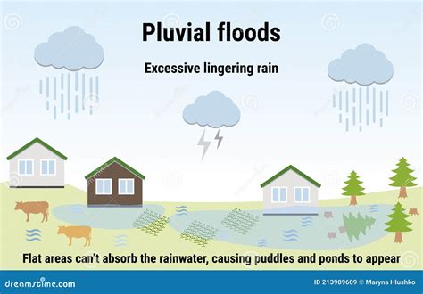 Pluvial Floods. Flooding Infographic. Flood Natural Disaster with ...