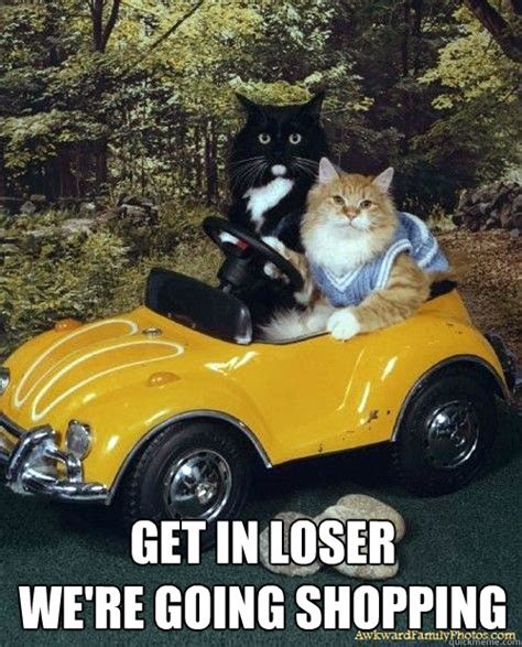 GET IN LOSER WE'RE GOING SHOPPING - Mean Cats - quickmeme