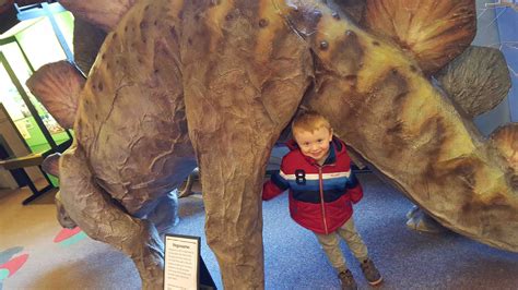 A Day Out in Dorset: Dinosaur Museum Dorchester - Kidrated