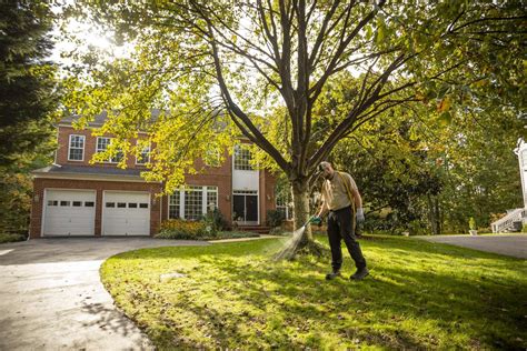 Your Essential Guide to Lawn Care in Northern Virginia