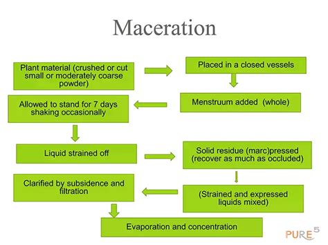 Maceration Process Of Extraction Extraction Extractio - vrogue.co