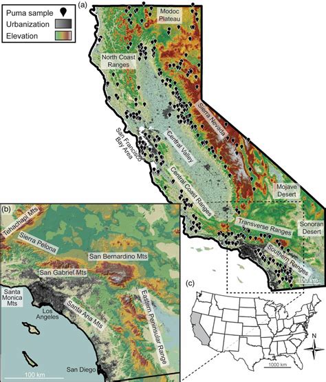 Location of 401 sampled pumas used in analyses, including (a) sample... | Download Scientific ...