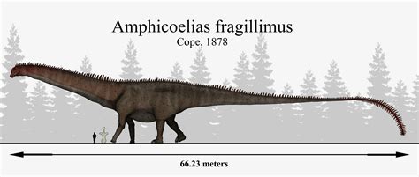 E.D Cope's Lost Giant: Amphicoelias fragillimus by Paleonerd01 on ...