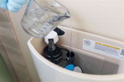 How To Clean Toilet Tank With Vinegar | Storables