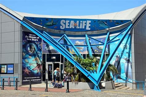 Tickets & Tours - National SEA LIFE® Centre Birmingham, Birmingham - Viator